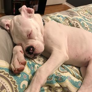 Meet your Posher, Katelyn